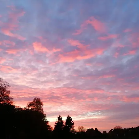 & Zum Domkreuger