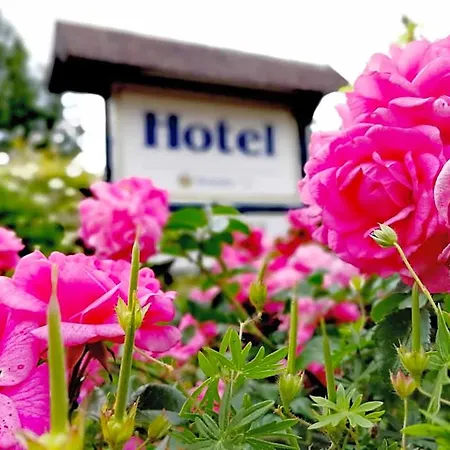 Hotel&gasthaus Zum Domkreuger Hotel