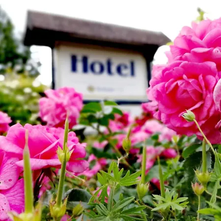 Отель & Zum Domkreuger