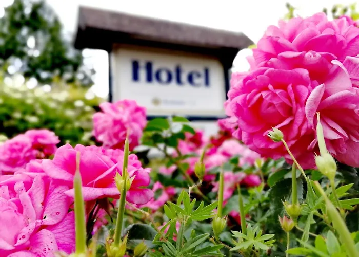 Otel & Zum Domkreuger